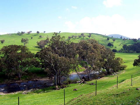 Elm Cottage - Tumut - Tourism Search 4