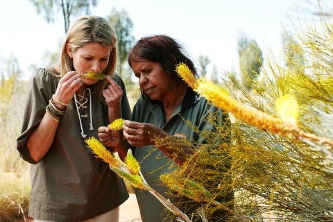 Outback Pioneer Hotel - Tourism Search 6