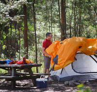 Bald Rock campground and picnic area - Tourism Search