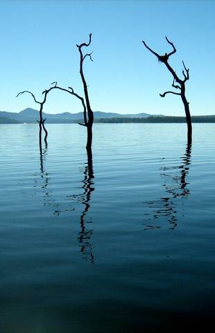 Tinaroo Lake Resort - Holiday Apartments - Tourism Search 11