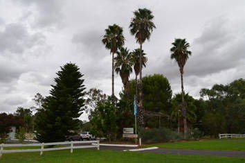 Westview Tourist Caravan Park - Tourism Search 8
