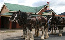 Araluen Valley Hotel - Araluen - Tourism Search 0