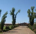 Newell Motor Inn - Narrandera - Tourism Search