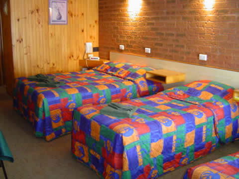Country Roads Motor Inn - Narrandera - Tourism Search 1