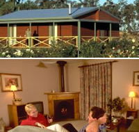 Twin Trees Country Cottages - Tourism Search