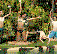 The Palms At Avoca - Tourism Search