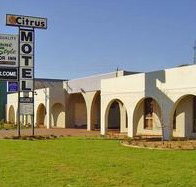 Citrus Motel - Tourism Search