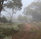 Heritage Park Bathurst - Tourism Search