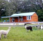 Moorallie Cottage Farm Stay - Tourism Search