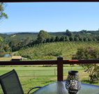 The Shed B and B - Tourism Search