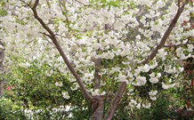 Valley Of The Waters Bed And Breakfast - Tourism Search 7
