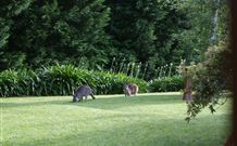 Yallambee Bed And Breakfast - Tourism Search 4