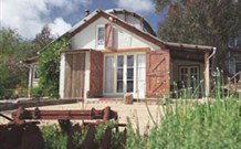 Peregrines At Table Top - Tourism Search 7