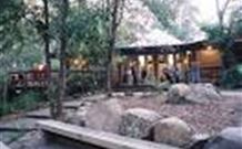 Williams River Holiday Park - Tourism Search 0