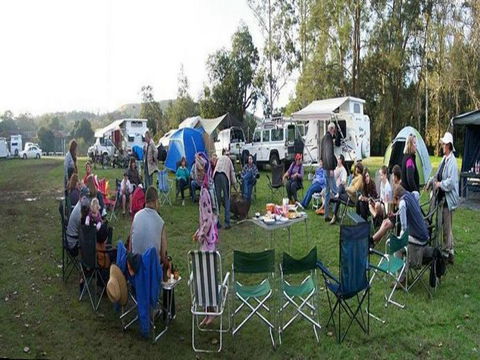 Williams River Holiday Park - Tourism Search 3