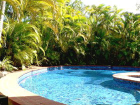 At The Mango Tree - Tourism Search 1