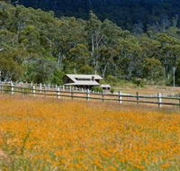 Pender Lea Alpine Guest Accommodation - Tourism Search