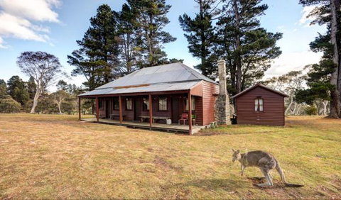 The Pines Cottage - Tourism Search 1