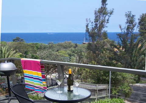 Avalon Seashells - Tourism Search 0