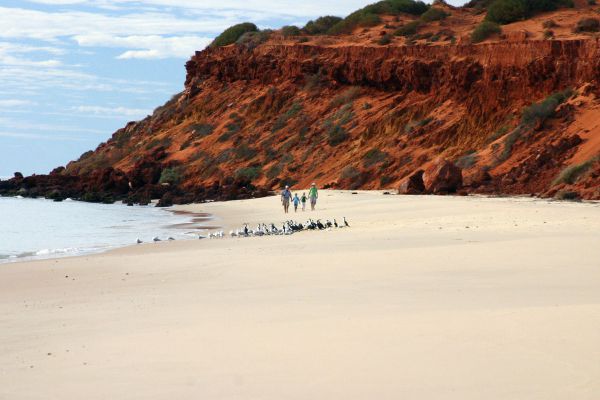 Francois Peron National Park WA Tourism Search