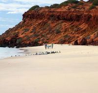 Herald Bight Camp at Francois Peron National Park - Tourism Search