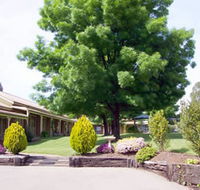 Mansfield Valley Motor Inn - Tourism Search