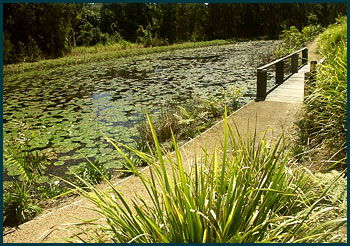 Aba Abode - Tourism Search 3