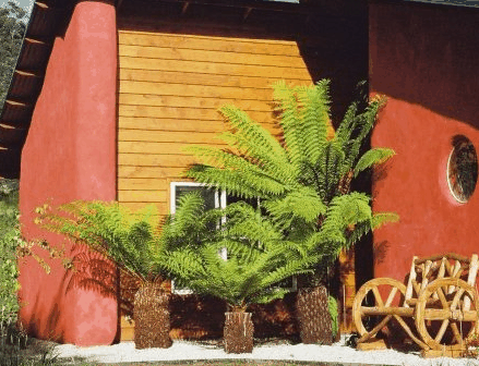 Whispering Spirit Cottage  Miniature Pony Stud - Tourism Search