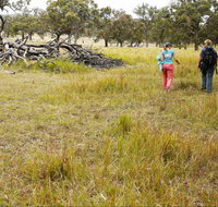 Carnarvon National Park camping - Tourism Search