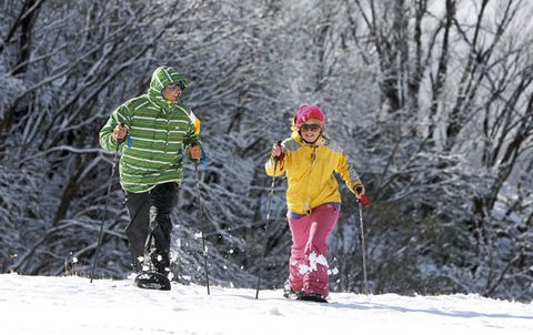 Frueauf Village - Tourism Search 20