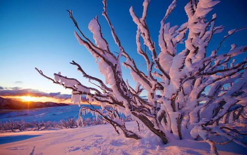 Frueauf Village - Tourism Search 11