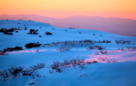 Frueauf Village - Tourism Search 33