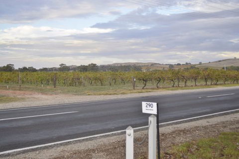 Almond Tree Cottage - Tourism Search 5