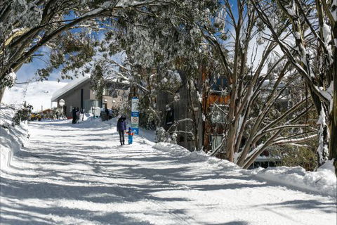 Frueauf Village - Tourism Search 5