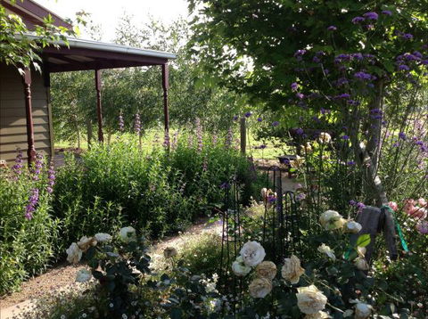 Wandana Bed And Breakfast - Tourism Search 0