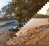 Beach campground - Tourism Search