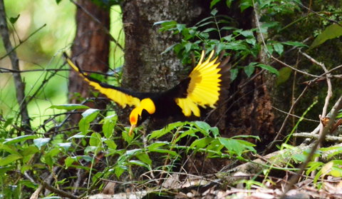 Bellthorpe Stays - Nature's Retreat - Tourism Search 4