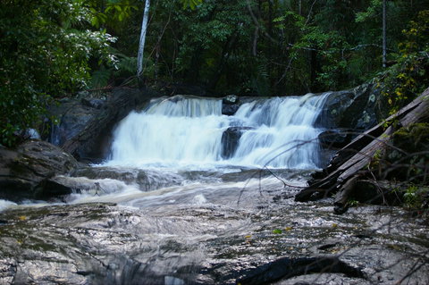 Bellthorpe Stays - Nature's Retreat - Tourism Search 5