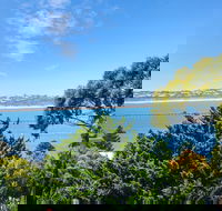 Bluff Retreat - 17 Davies Street - Tourism Search