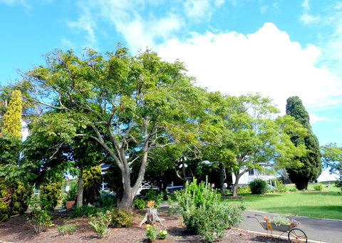 Forest Lodge Highfields - Tourism Search 3
