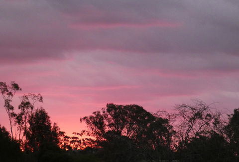 Forest Lodge Highfields - Tourism Search 4