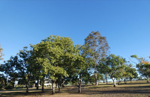 Forest Lodge Highfields - Tourism Search 6