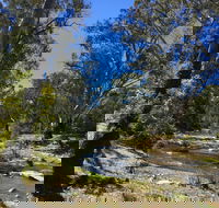 Highfield Farm and Woodland Bush Campsites - Tourism Search