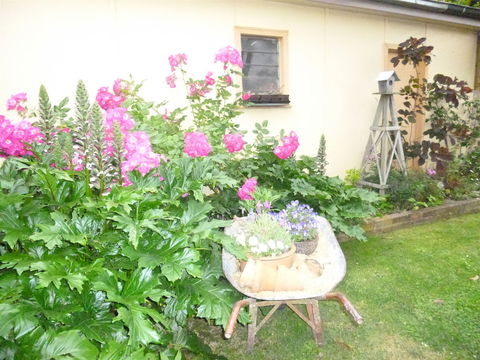 Aggies Bed And Breakfast - Tourism Search 2