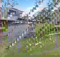 Gold Coast Tree Houses - Tourism Search