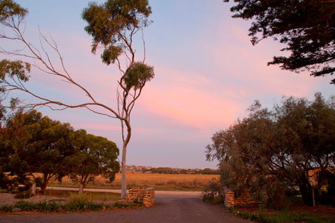 Jimmy Smith's Dairy - Tourism Search 9