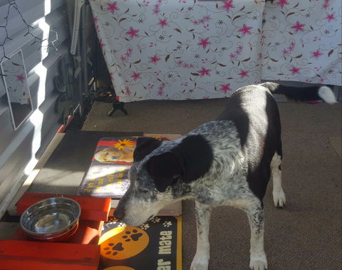 Meeniyan Motel And Bike Hire - Tourism Search 2