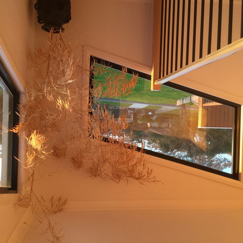 Barefoot Beach Stays - Tourism Search 1