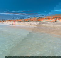 Bottle Bay Camp at Francois Peron National Park - Tourism Search