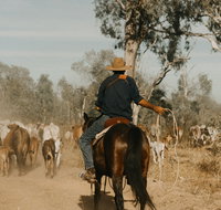 Bullo River Station - Tourism Search